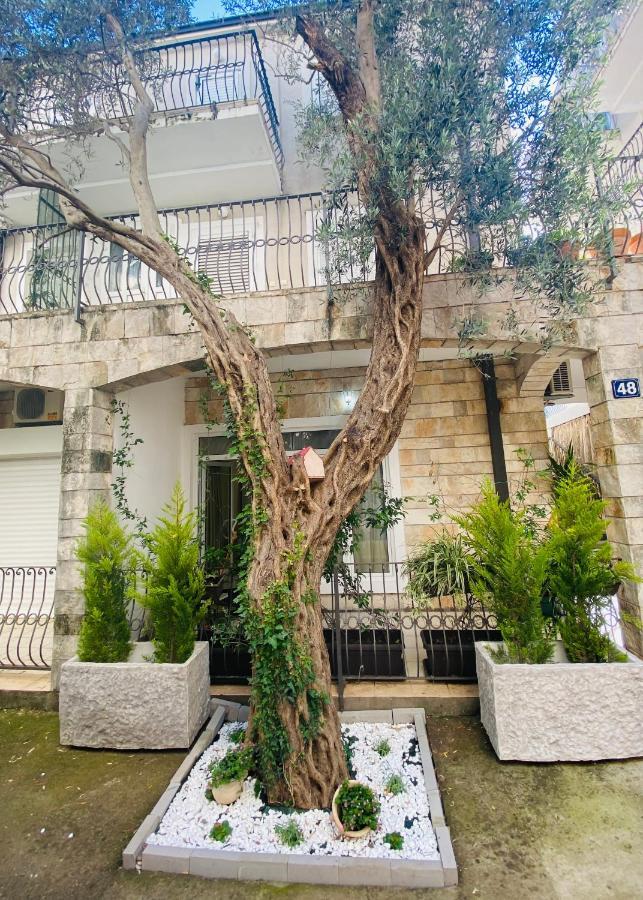 Apartment Oliva1 Petrovac Εξωτερικό φωτογραφία